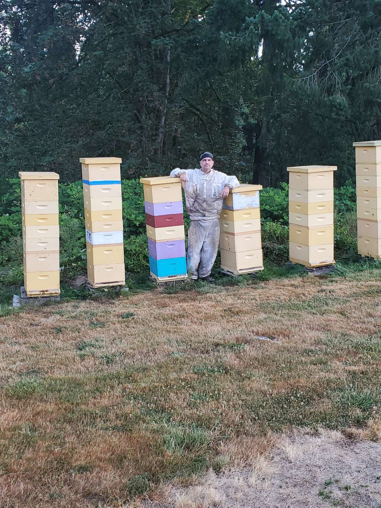 Backyard beekeeping strategies specific to greater Portland / Metro area: A Day in the Life of Bees at Edgefield Apiaries