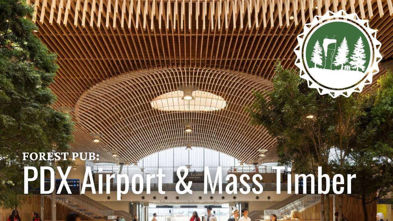 Forest Pub: Building the New PDX Airport with Local Mass Timber 