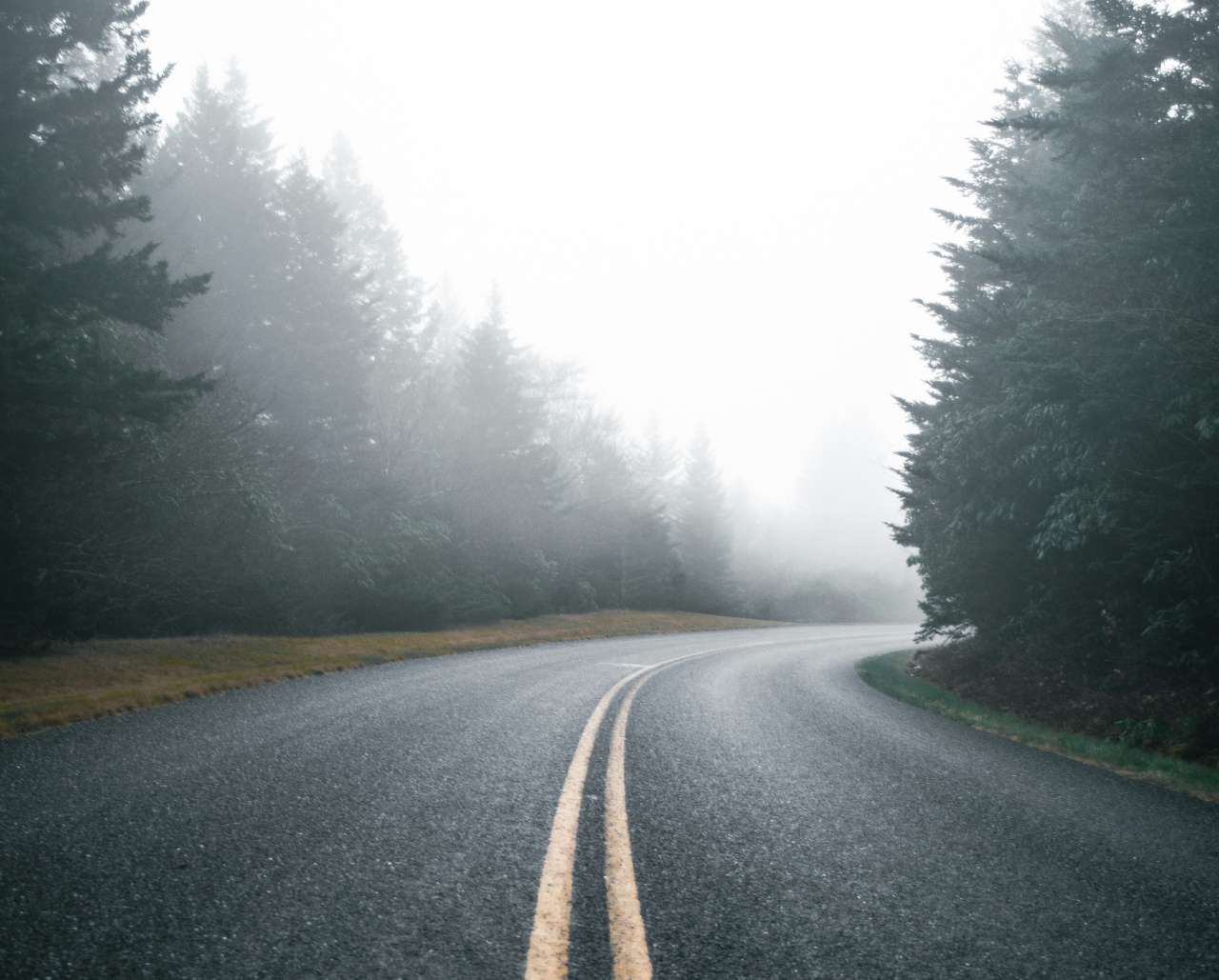 History Pub : What’s Up with the Pacific Northwest and Serial Killers? presented by Rebecca Morris