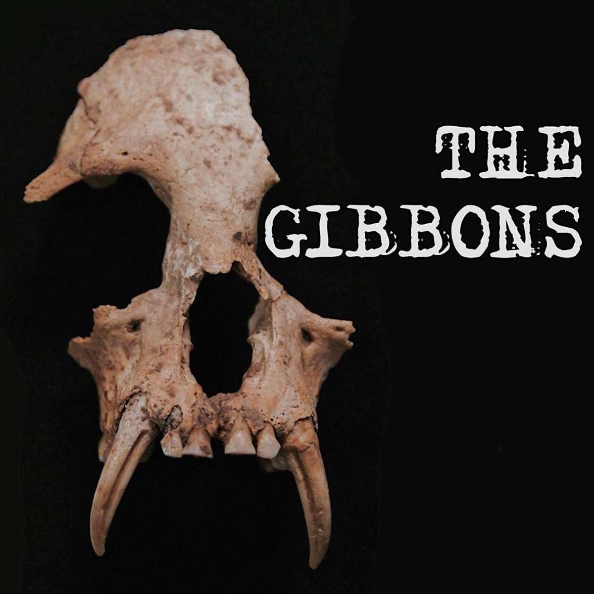 The Gibbons, 21+